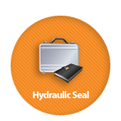 Hydraulic Seal